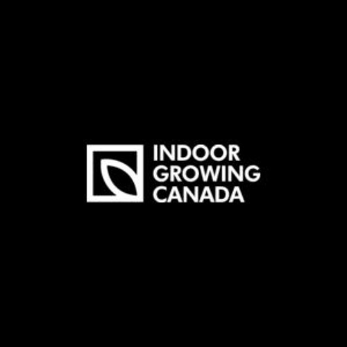 LED Grow Lights Is Useful for Growing Plants Indoor Growing Canada