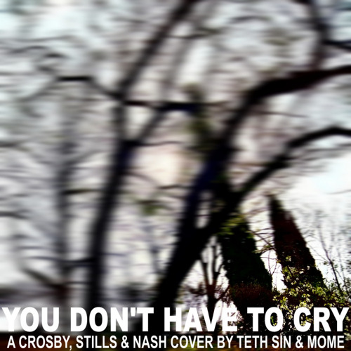 You Don't Have To Cry (Crosby Stills & Nash cover) Feat. Mome