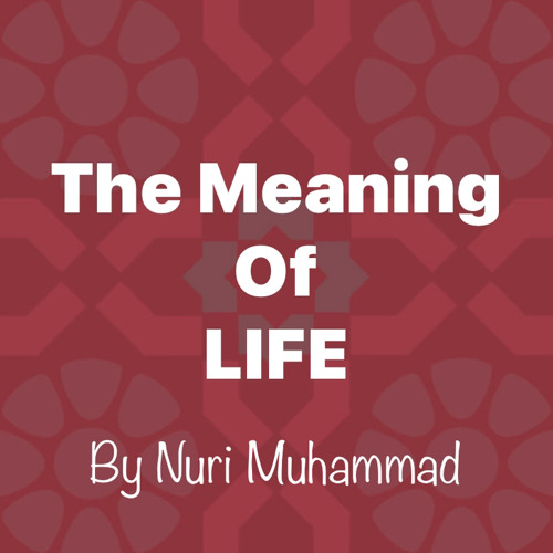 Meaning of Life