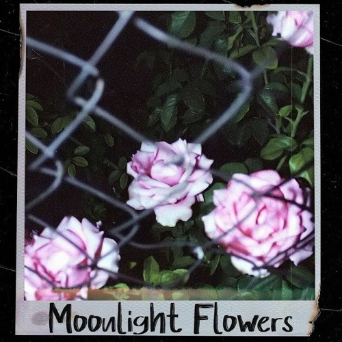 Moonlight Flowers - Lil Peep x Carter Tomorrow x IVOXYGEN Type Beat