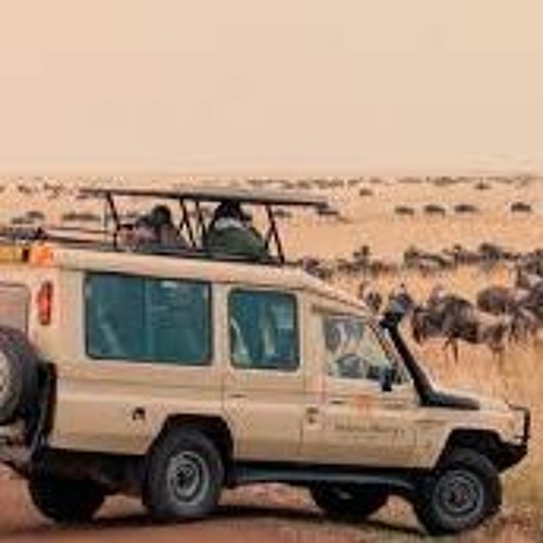 Embark On A Wildlife Adventure Explore Kenya On A Safari Tour With Safari Seekers Africa