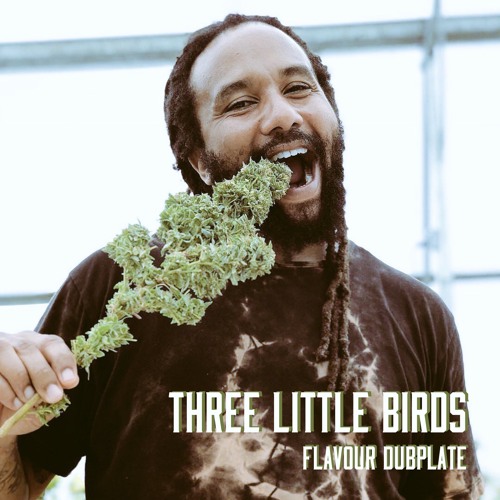 Ky-Mani Marley X Flavour Dubplate - Three Little Birds X Soundclash (Bob Marley X TroyBoi)