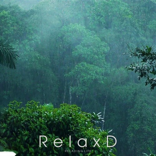 Relaxing Music & Soft Rain Sleep Music Calm Piano Music Healing Music Peaceful Music