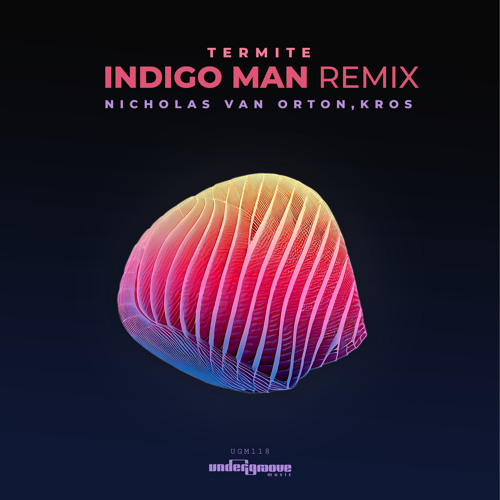 PREMIERE Nicholas Van Orton & Kros - Termite (Indigo Man Remix) Undergroove Music