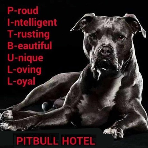 Pitbull Buys A FR KING Pitbull. Crazy (UNRELEASED DEMO) (199x)