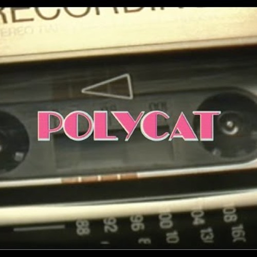 พบกันใหม่ - Polycat cover by Mos
