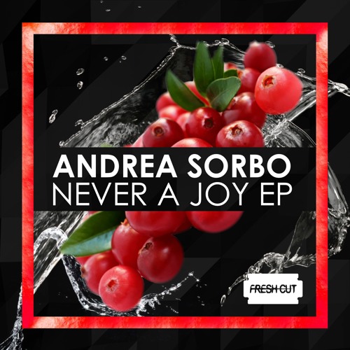 Andrea Sorbo - My Way (Original Mix) Fresh Cut CUT VERSION