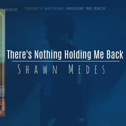 Shaw Mendes- Holdin' Me Back (dj Louie Z. Afrobooty Remix)