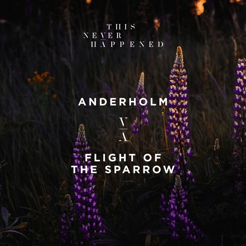 Anderholm - Flight of the Sparrow