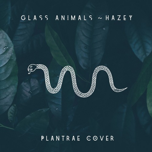 Plantrae - Glass Animals 'Hazey' (Cover)