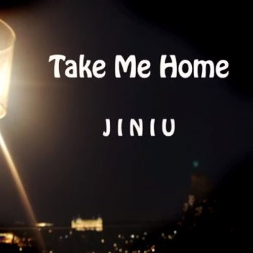 Jess Glynne - Take Me Home (Cover by JINIU)