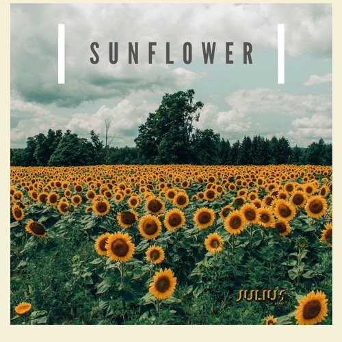 Sunflower - Post Malone Swae Lee (Cover By Julius)