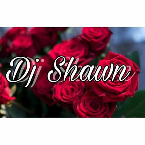 DJ SHAWN & BRADLEY PRODUCTION - FAN DES FAN