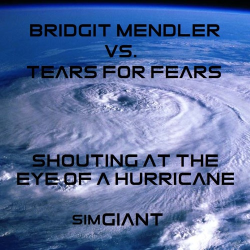 Bridgit Mendler vs. Tears For Fears - Shouting At The Eye Of A Hurricane (SimGiant Mash Up)